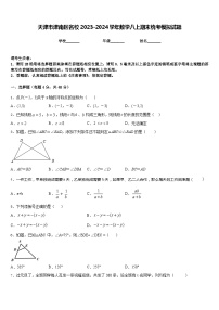 天津市津南区名校2023-2024学年数学八上期末统考模拟试题含答案