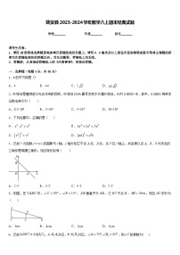 姚安县2023-2024学年数学八上期末经典试题含答案