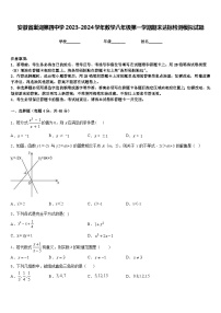 安徽省巢湖第四中学2023-2024学年数学八年级第一学期期末达标检测模拟试题含答案