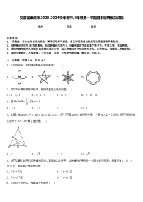 安徽省巢湖市2023-2024学年数学八年级第一学期期末调研模拟试题含答案