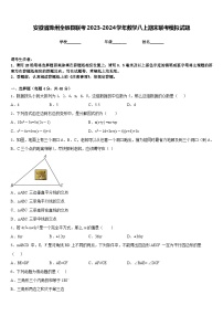 安徽省滁州全椒县联考2023-2024学年数学八上期末联考模拟试题含答案