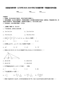 安徽省合肥市第一六八中学2023-2024学年八年级数学第一学期期末统考试题含答案