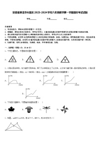 安徽省淮北市杜集区2023-2024学年八年级数学第一学期期末考试试题含答案