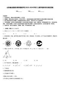 山东南山集团东海外国语学校2023-2024学年八上数学期末综合测试试题含答案