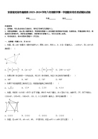 安徽省芜湖市南陵县2023-2024学年八年级数学第一学期期末综合测试模拟试题含答案