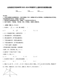 山东省安丘市东埠中学2023-2024学年数学八上期末综合测试模拟试题含答案