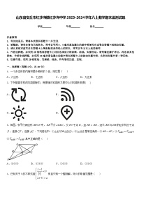 山东省安丘市红沙沟镇红沙沟中学2023-2024学年八上数学期末监测试题含答案