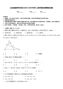 山东省德州市经开区2023-2024学年八上数学期末调研模拟试题含答案