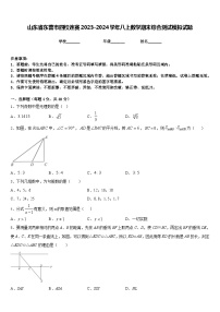 山东省东营市四校连赛2023-2024学年八上数学期末综合测试模拟试题含答案