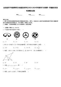 山东省济宁市曲阜师范大附属实验学校2023-2024学年数学八年级第一学期期末质量检测模拟试题含答案