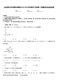 山东省枣庄市峄城区底阁镇2023-2024学年数学八年级第一学期期末达标测试试题含答案