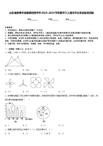 山东省新泰市宫里镇初级中学2023-2024学年数学八上期末学业质量监测试题含答案