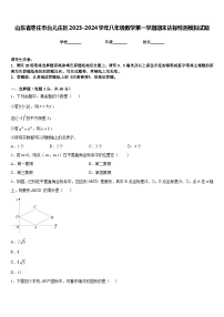 山东省枣庄市台儿庄区2023-2024学年八年级数学第一学期期末达标检测模拟试题含答案