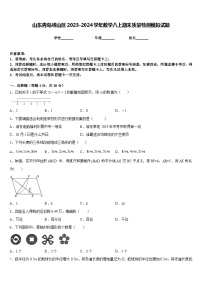 山东青岛崂山区2023-2024学年数学八上期末质量检测模拟试题含答案