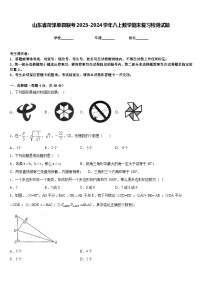 山东省菏泽单县联考2023-2024学年八上数学期末复习检测试题含答案