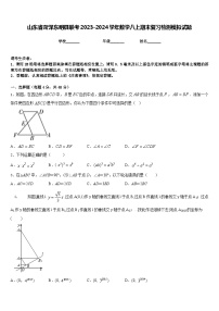 山东省菏泽东明县联考2023-2024学年数学八上期末复习检测模拟试题含答案