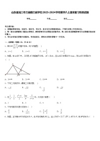 山东省龙口市兰高镇兰高学校2023-2024学年数学八上期末复习检测试题含答案