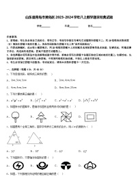 山东省青岛市黄岛区2023-2024学年八上数学期末经典试题含答案