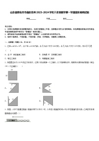 山东省青岛市市南区统考2023-2024学年八年级数学第一学期期末调研试题含答案