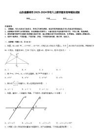 山东省滕州市2023-2024学年八上数学期末统考模拟试题含答案