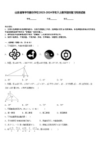 山东省邹平市部分学校2023-2024学年八上数学期末复习检测试题含答案