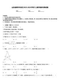 山东省潍坊市名校2023-2024学年八上数学期末经典试题含答案