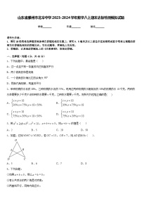 山东省滕州市北辛中学2023-2024学年数学八上期末达标检测模拟试题含答案