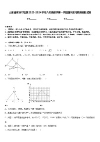 山东省潍坊市辖县2023-2024学年八年级数学第一学期期末复习检测模拟试题含答案