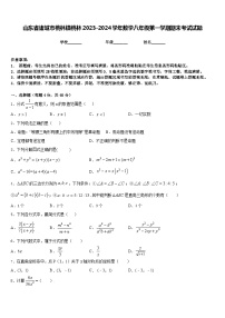 山东省诸城市桃林镇桃林2023-2024学年数学八年级第一学期期末考试试题含答案