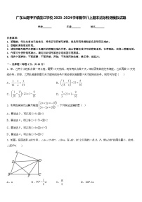 广东汕尾甲子镇瀛江学校2023-2024学年数学八上期末达标检测模拟试题含答案