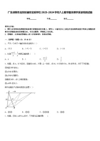 广东深圳市龙华区锦华实验学校2023-2024学年八上数学期末教学质量检测试题含答案