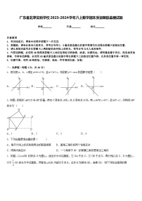 广东省北亭实验学校2023-2024学年八上数学期末质量跟踪监视试题含答案