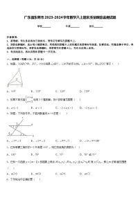 广东省东莞市2023-2024学年数学八上期末质量跟踪监视试题含答案