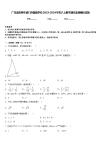 广东省东莞市虎门外国语学校2023-2024学年八上数学期末监测模拟试题含答案