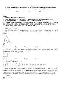 广东省广州市荔湾区广雅实验学校2023-2024学年八上数学期末达标检测试题含答案