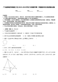 广东省惠城市惠城区八校2023-2024学年八年级数学第一学期期末综合测试模拟试题含答案