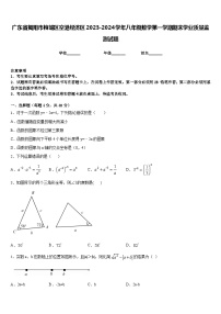 广东省揭阳市榕城区空港经济区2023-2024学年八年级数学第一学期期末学业质量监测试题含答案