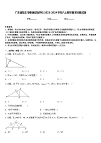 广东省陆丰市春源双语学校2023-2024学年八上数学期末经典试题含答案