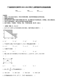 广东省茂名市行知中学2023-2024学年八上数学期末学业质量监测试题含答案