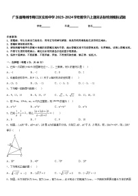 广东省梅州市梅江区实验中学2023-2024学年数学八上期末达标检测模拟试题含答案