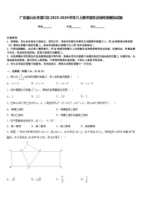 广东省汕头市濠江区2023-2024学年八上数学期末达标检测模拟试题含答案