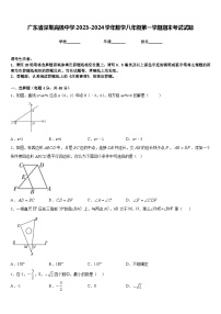 广东省深圳高级中学2023-2024学年数学八年级第一学期期末考试试题含答案