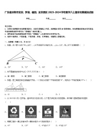 广东省深圳市宝安、罗湖、福田、龙华四区2023-2024学年数学八上期末经典模拟试题含答案