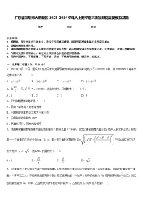 广东省深圳市大鹏新区2023-2024学年八上数学期末质量跟踪监视模拟试题含答案