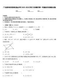 广东省珠海市香洲区前山中学2023-2024学年八年级数学第一学期期末检测模拟试题含答案