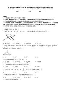 广西河池市天峨县2023-2024学年数学八年级第一学期期末考试试题含答案