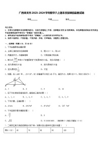 广西来宾市2023-2024学年数学八上期末质量跟踪监视试题含答案