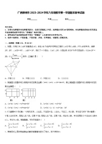 广西柳州市2023-2024学年八年级数学第一学期期末联考试题含答案
