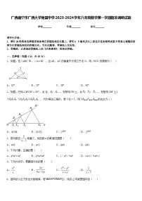 广西南宁市广西大学附属中学2023-2024学年八年级数学第一学期期末调研试题含答案