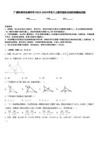 广西钦州市东场中学2023-2024学年八上数学期末达标检测模拟试题含答案